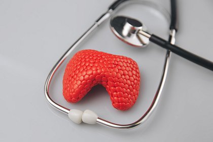 Какие симптомы указывают на проблемы со щитовидкой?